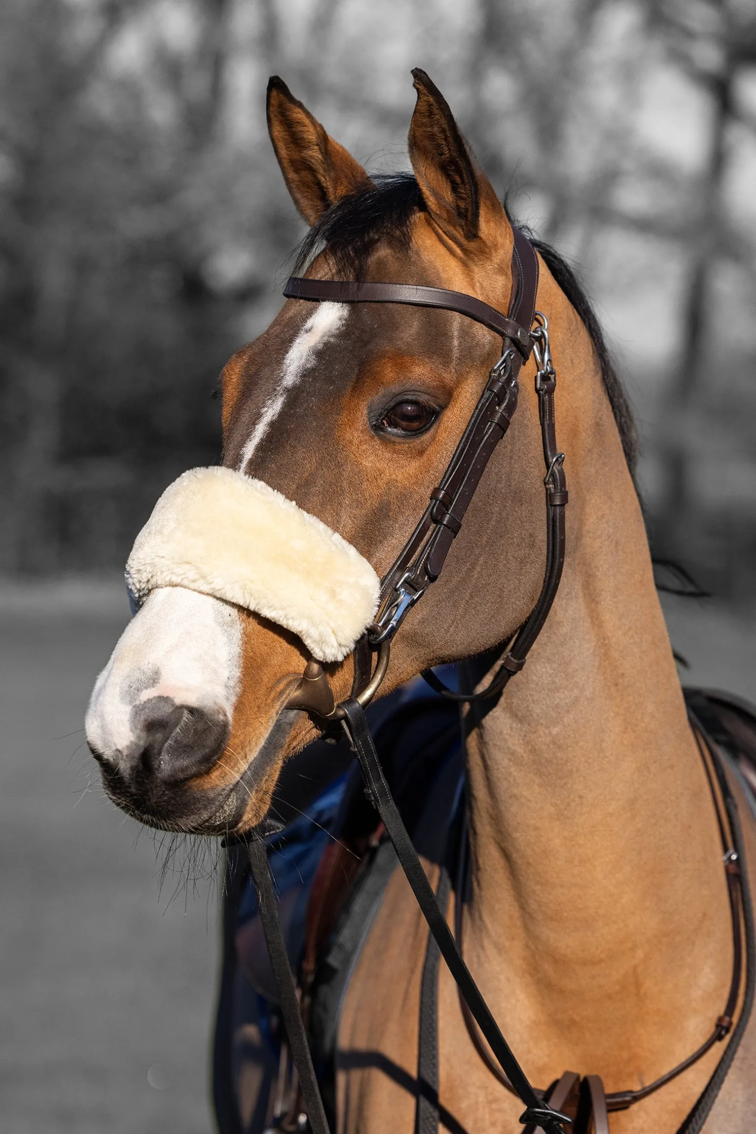 Simuwool Nasenriemenüberzug