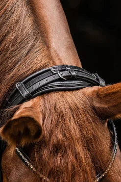 S-Line Trensenzaum Magic