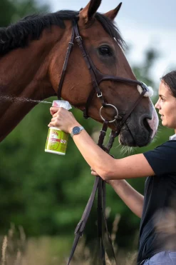 SP extra stark Insektenschutz Sprühlotion, Fliegenspray, 500ml