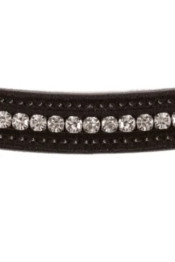 Stanford Anatomische Trense