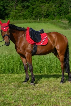 Stanford Dressurschabracke