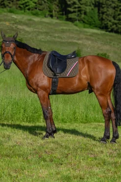 Stanford Dressurschabracke