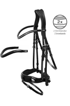 Stanford S Bridle