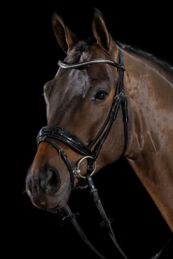Stanford S Bridle