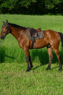 Stanford Springschabracke