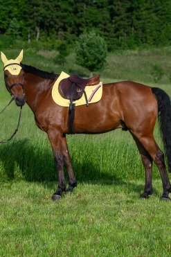 Stanford Springschabracke