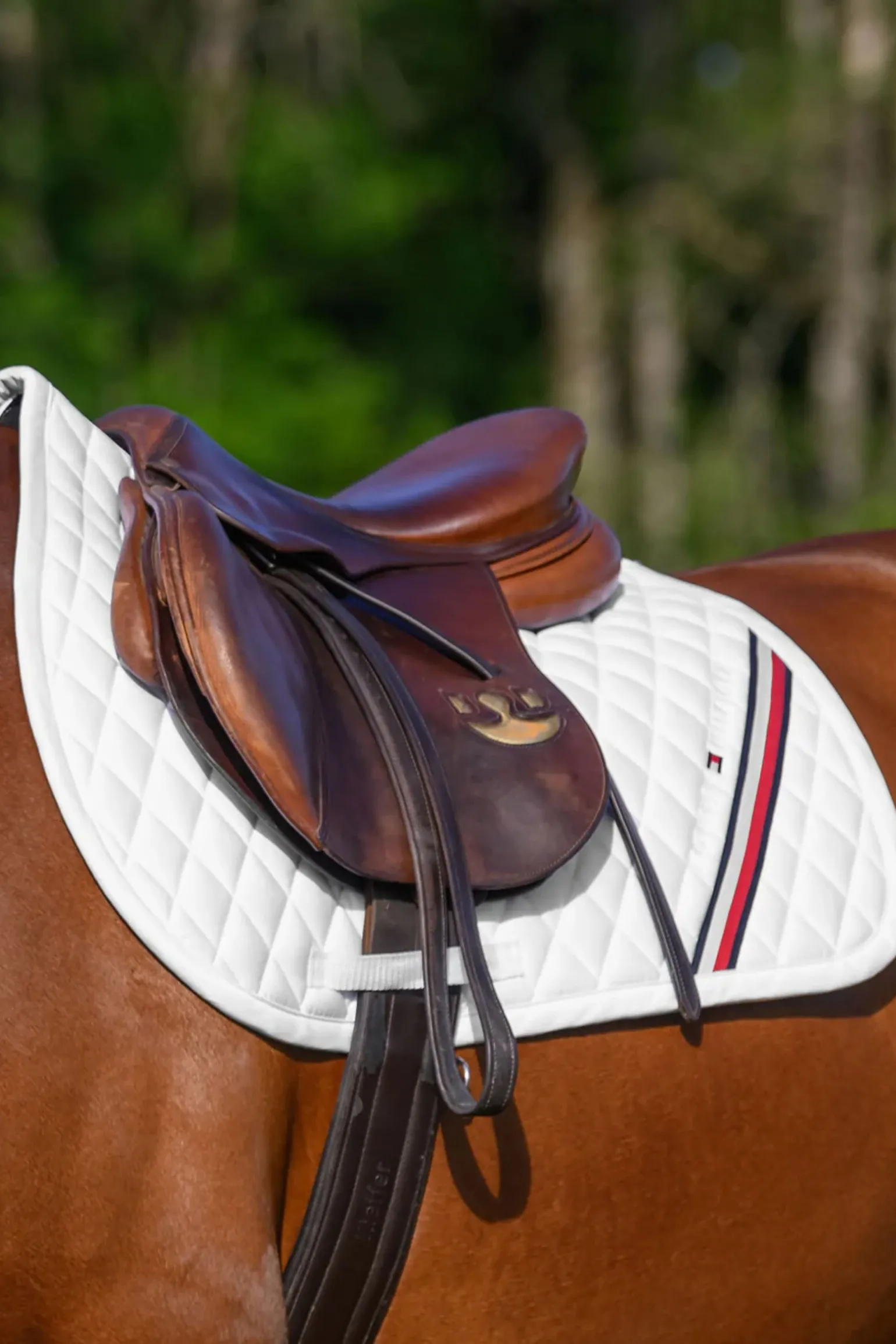 Stanford Springschabracke