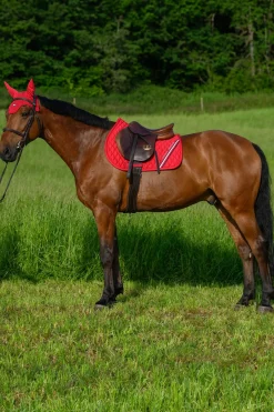 Stanford Springschabracke