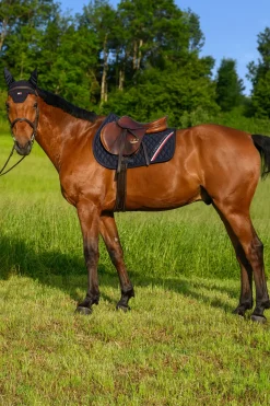 Stanford Springschabracke