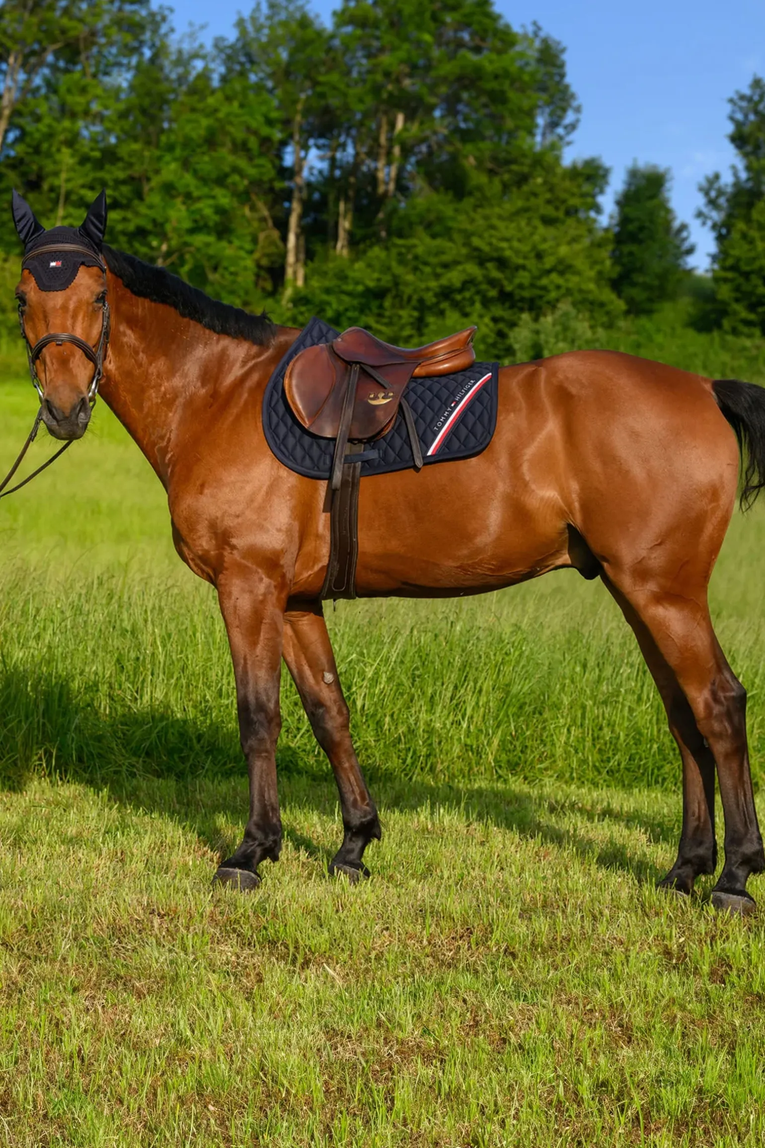 Stanford Springschabracke