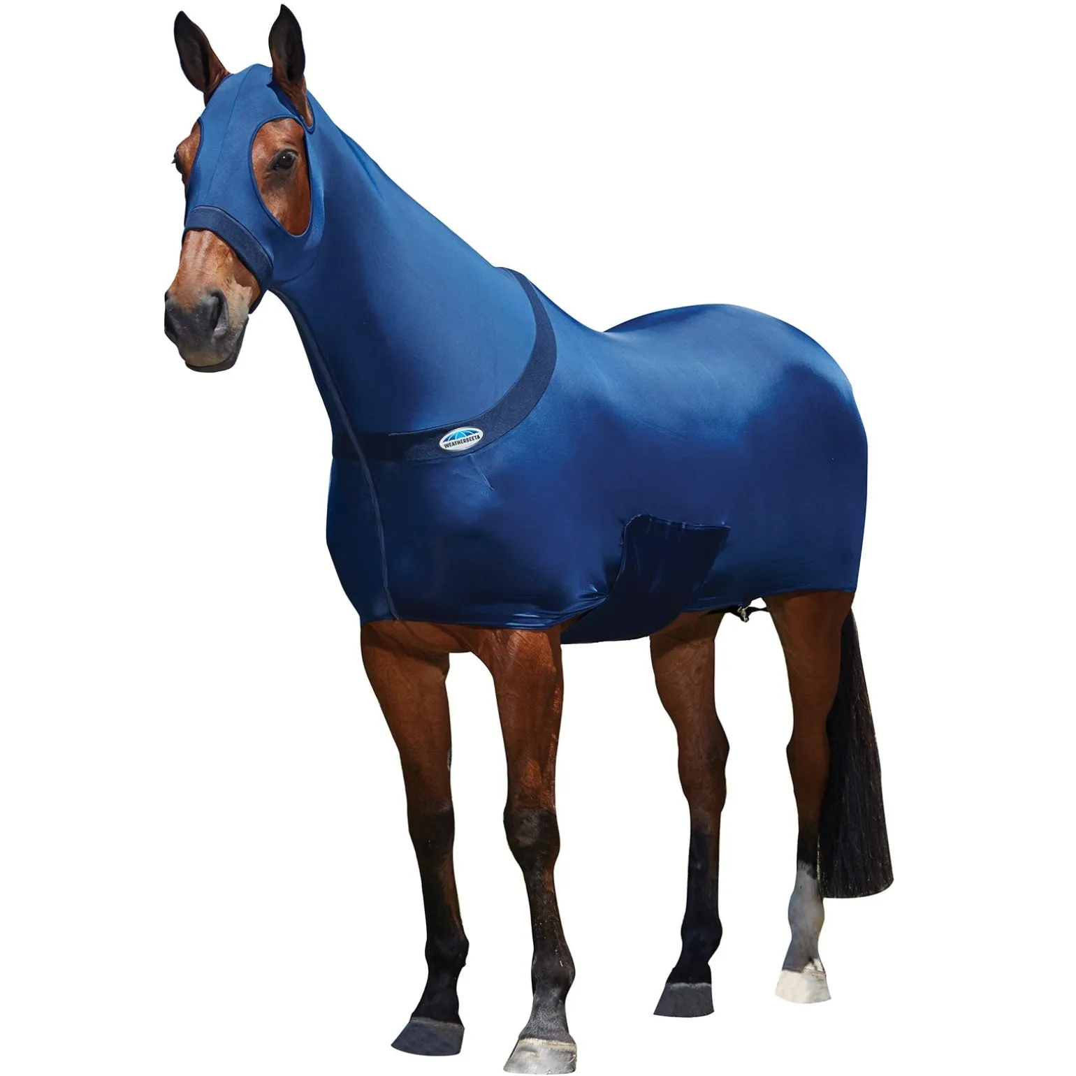 Stretch Decke Unterdecke