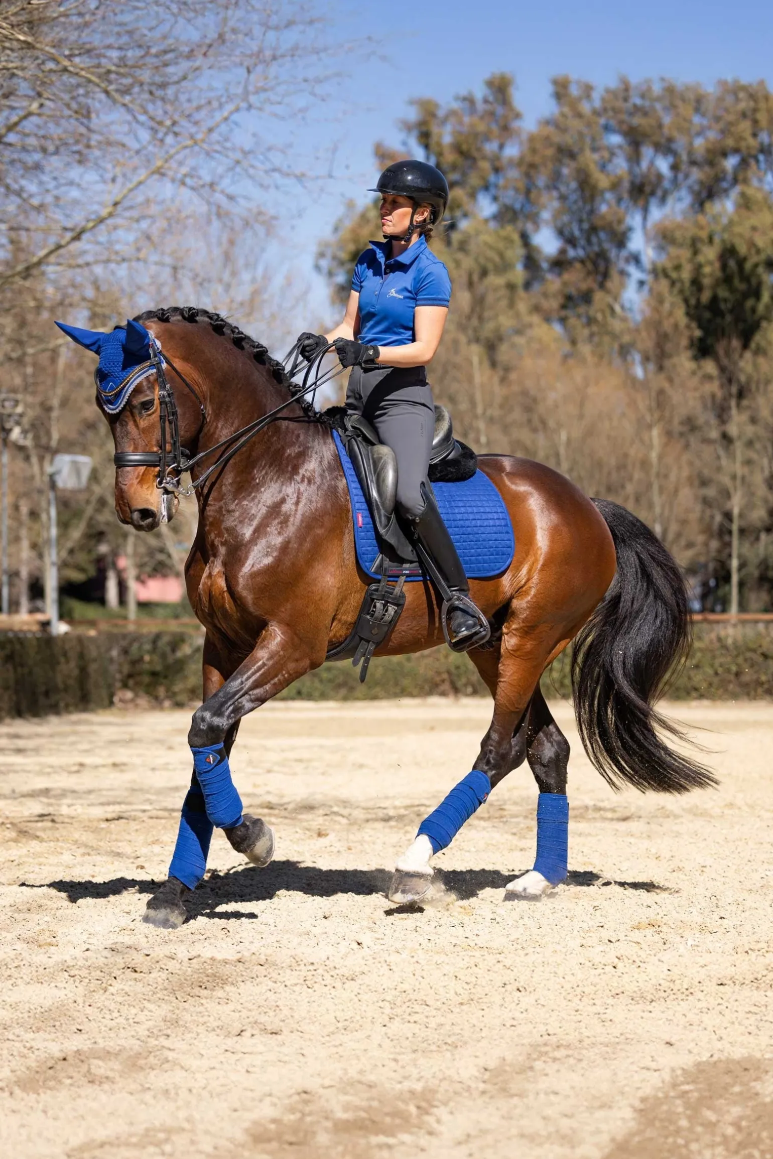 Suede Dressurschabracke