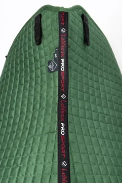 Suede Luxuriöse saisonale Dressurschabracke