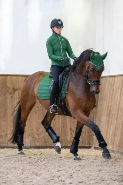 Suede Luxuriöse saisonale Dressurschabracke