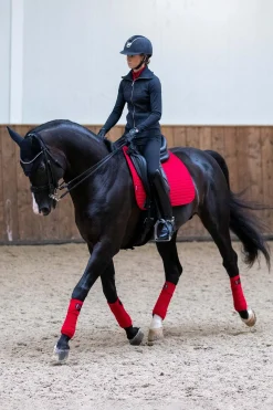 Suede Luxuriöse saisonale Dressurschabracke