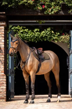 Suede Square CC Springschabracke