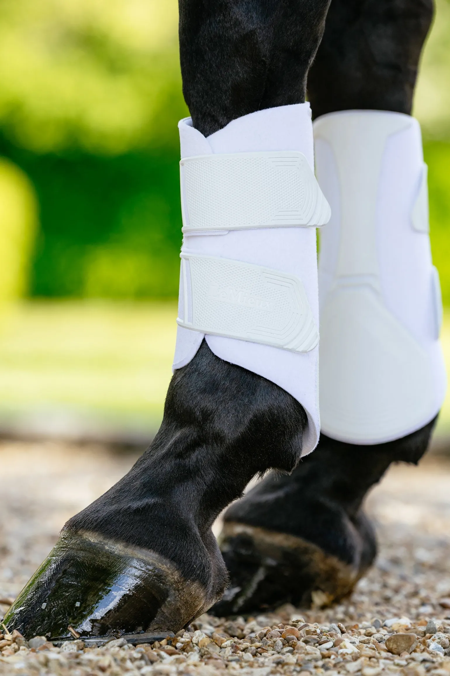 Technical Dressurgamaschen