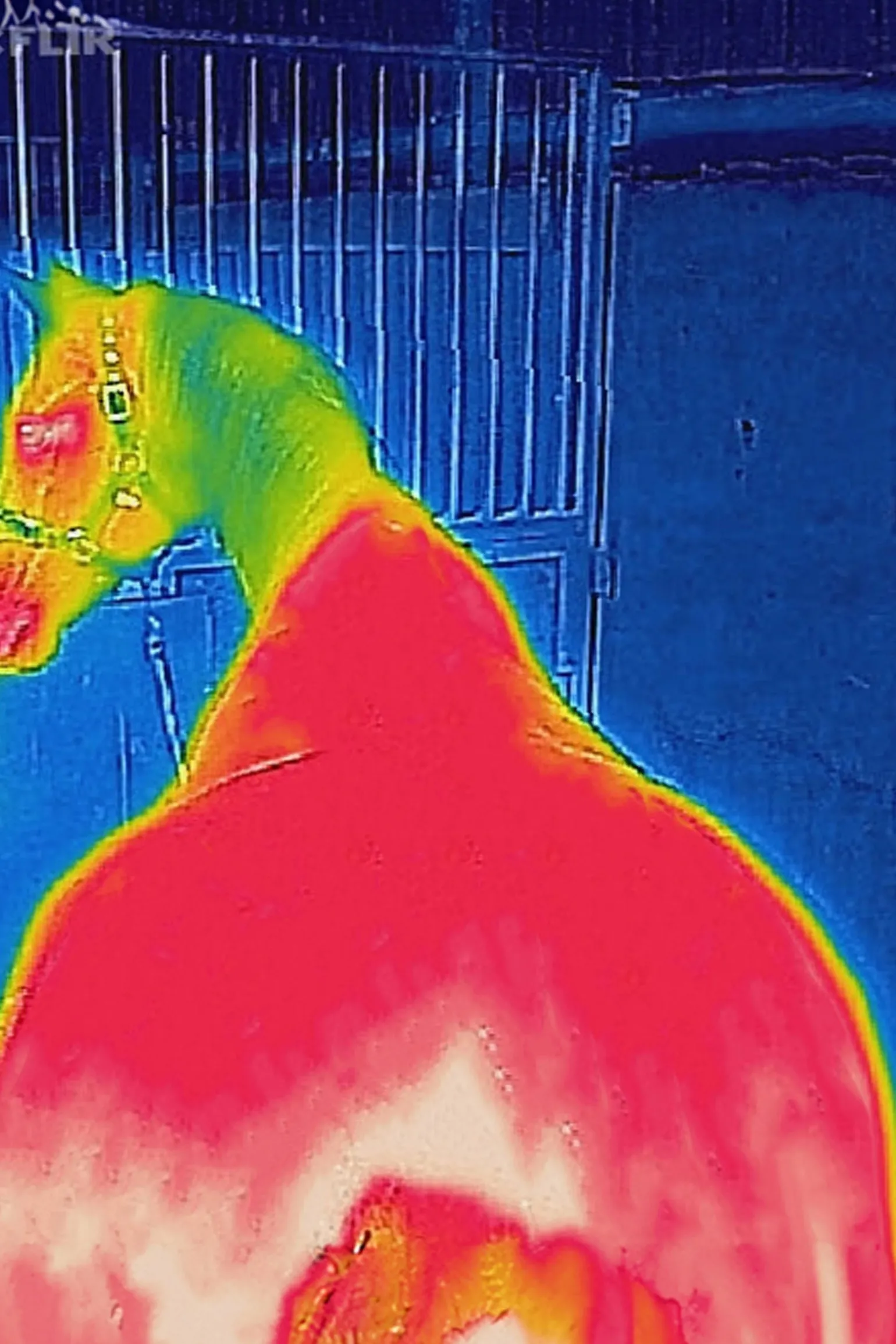 Therapy Abschwitzdecke, 0 g