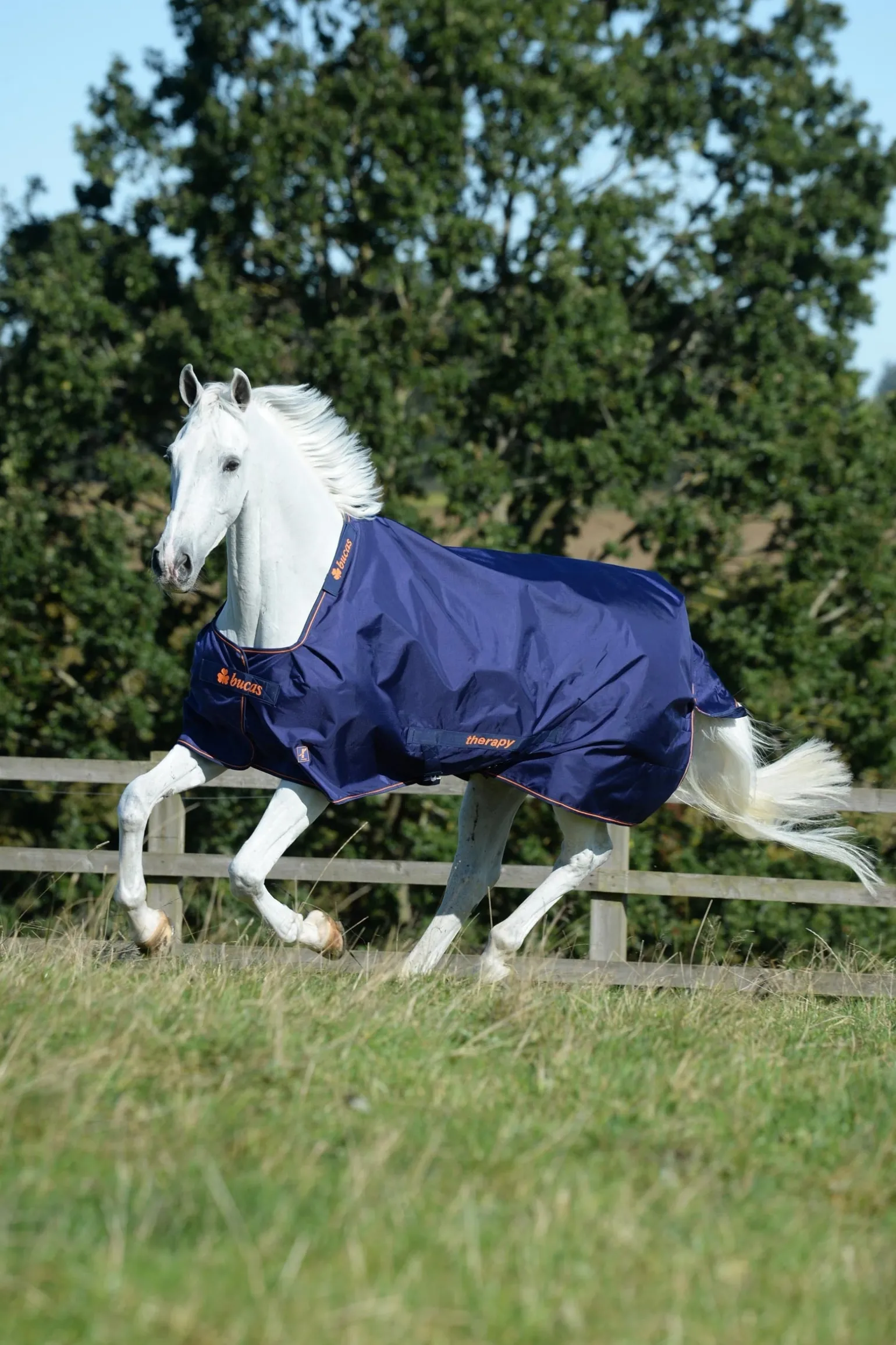 Therapy Weidedecke, 150g