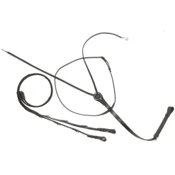 Thiedemann-/Köhler-Zügel