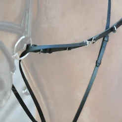 Thiedemann-/Köhler-Zügel