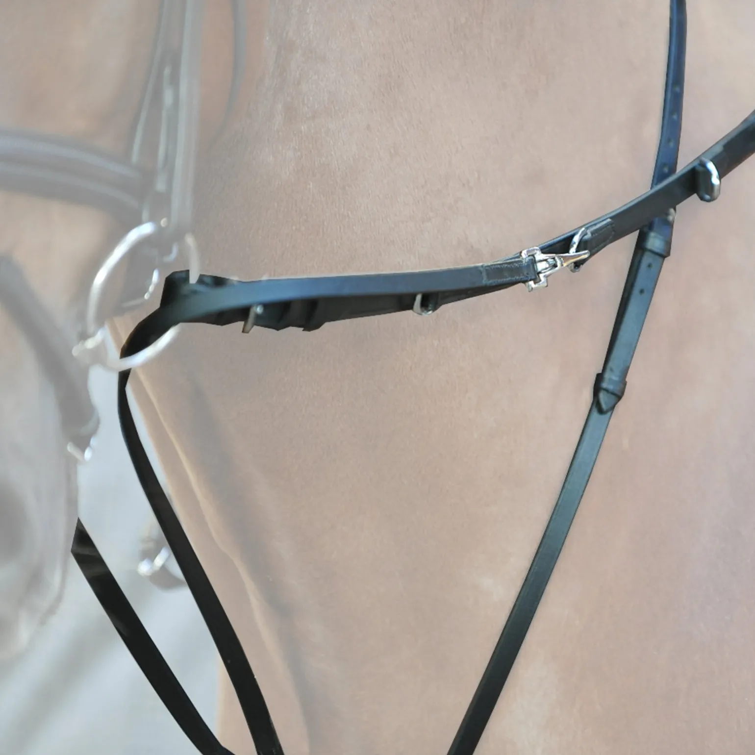 Thiedemann-/Köhler-Zügel