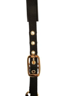 TopLine Fohlenhalfter