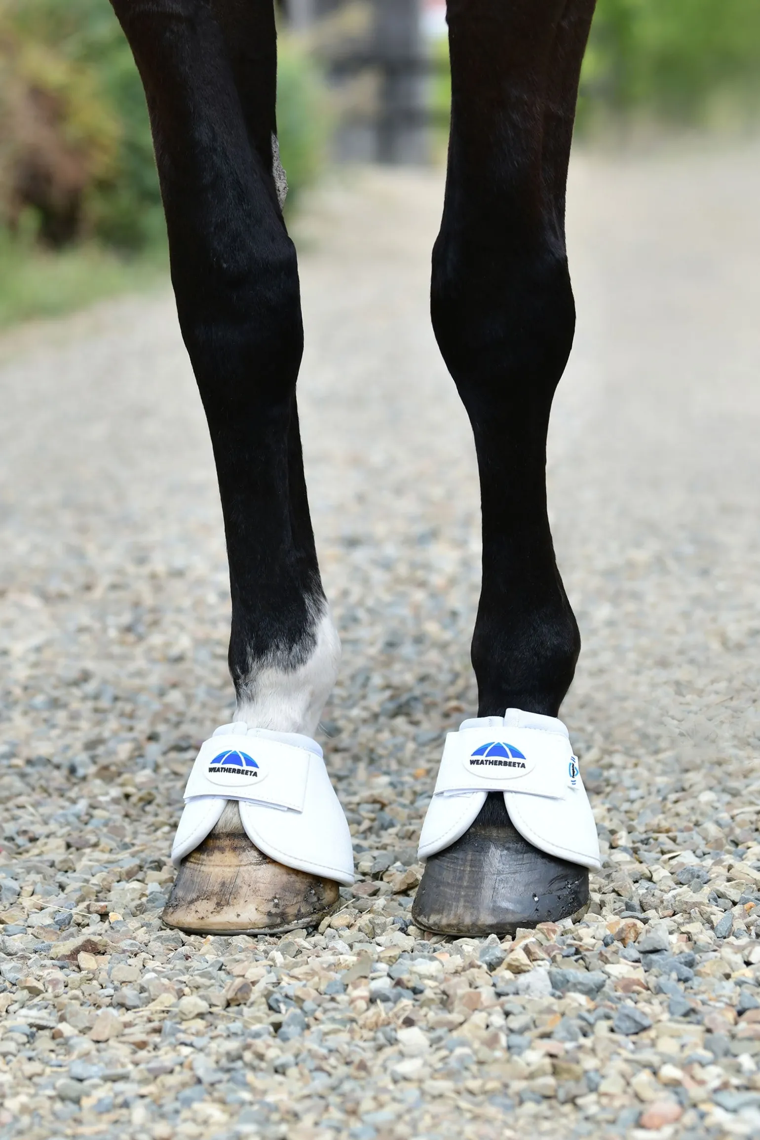 Tough-Tec anatomische Hufglocken