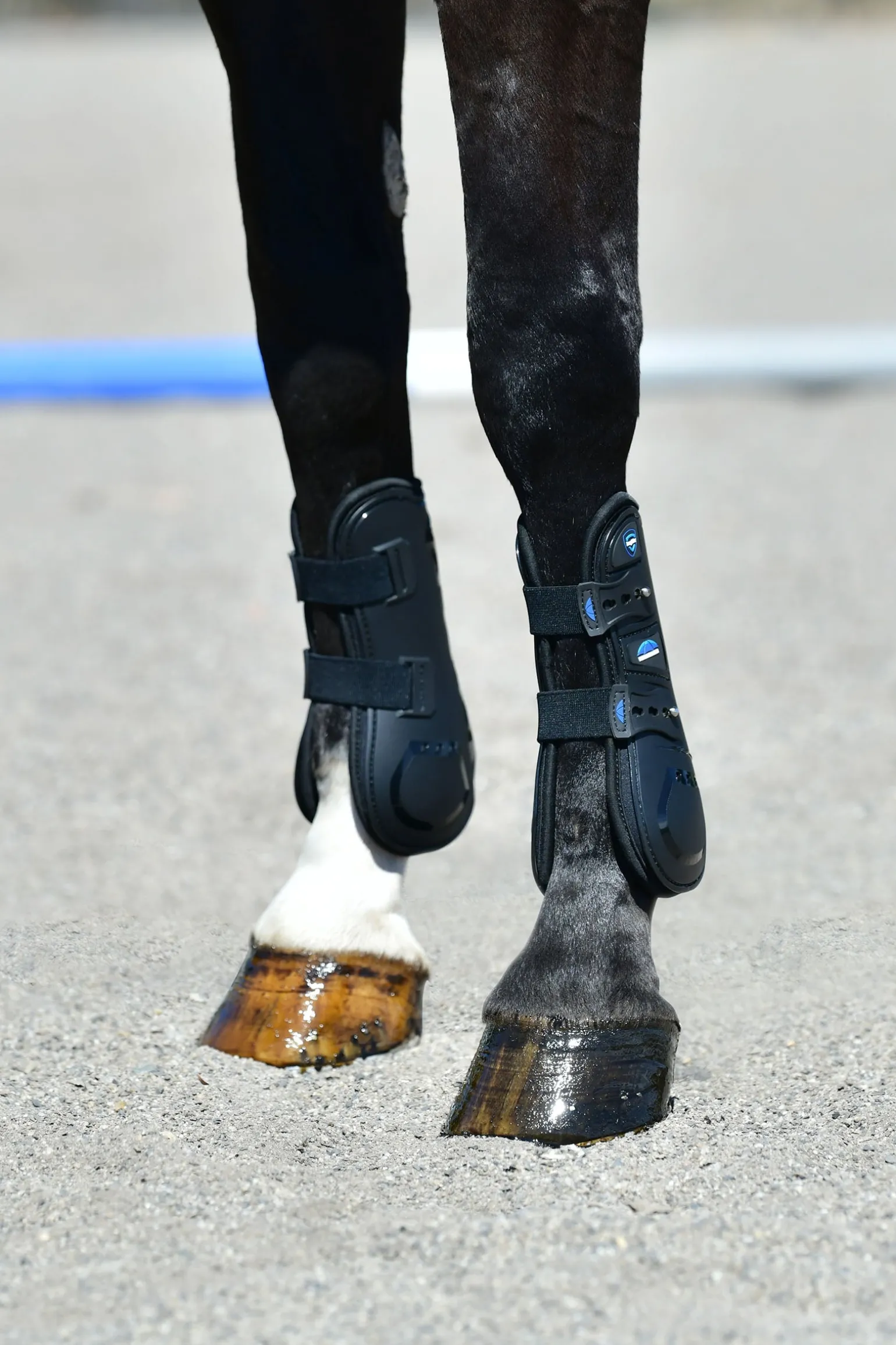 Tough-Tec Essential Offene Front-Gamaschen