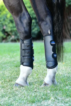 Tough-Tec Eventing Gamaschen, hinten