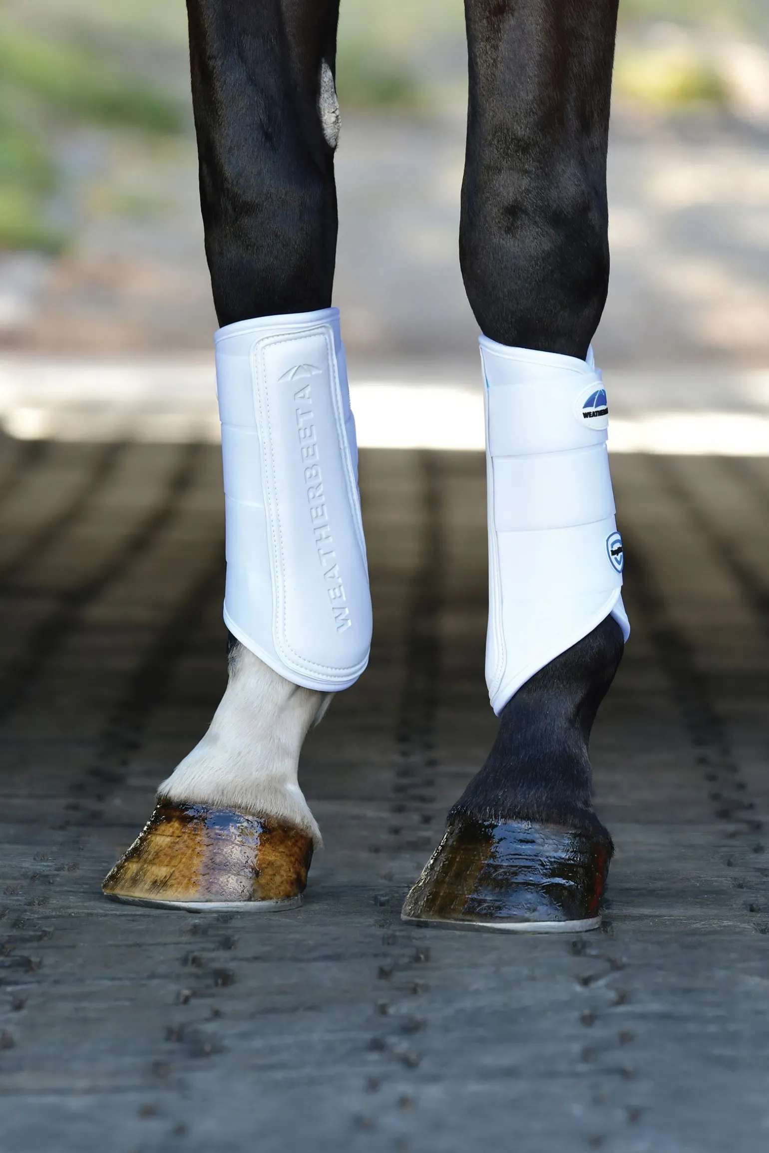 Tough-Tec Prime Dressurgamaschen