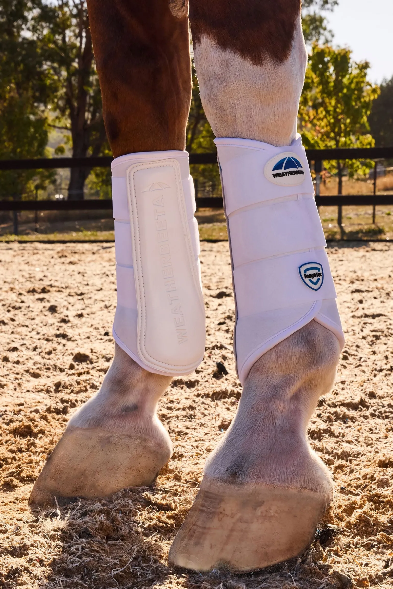 Tough-Tec Prime Dressurgamaschen