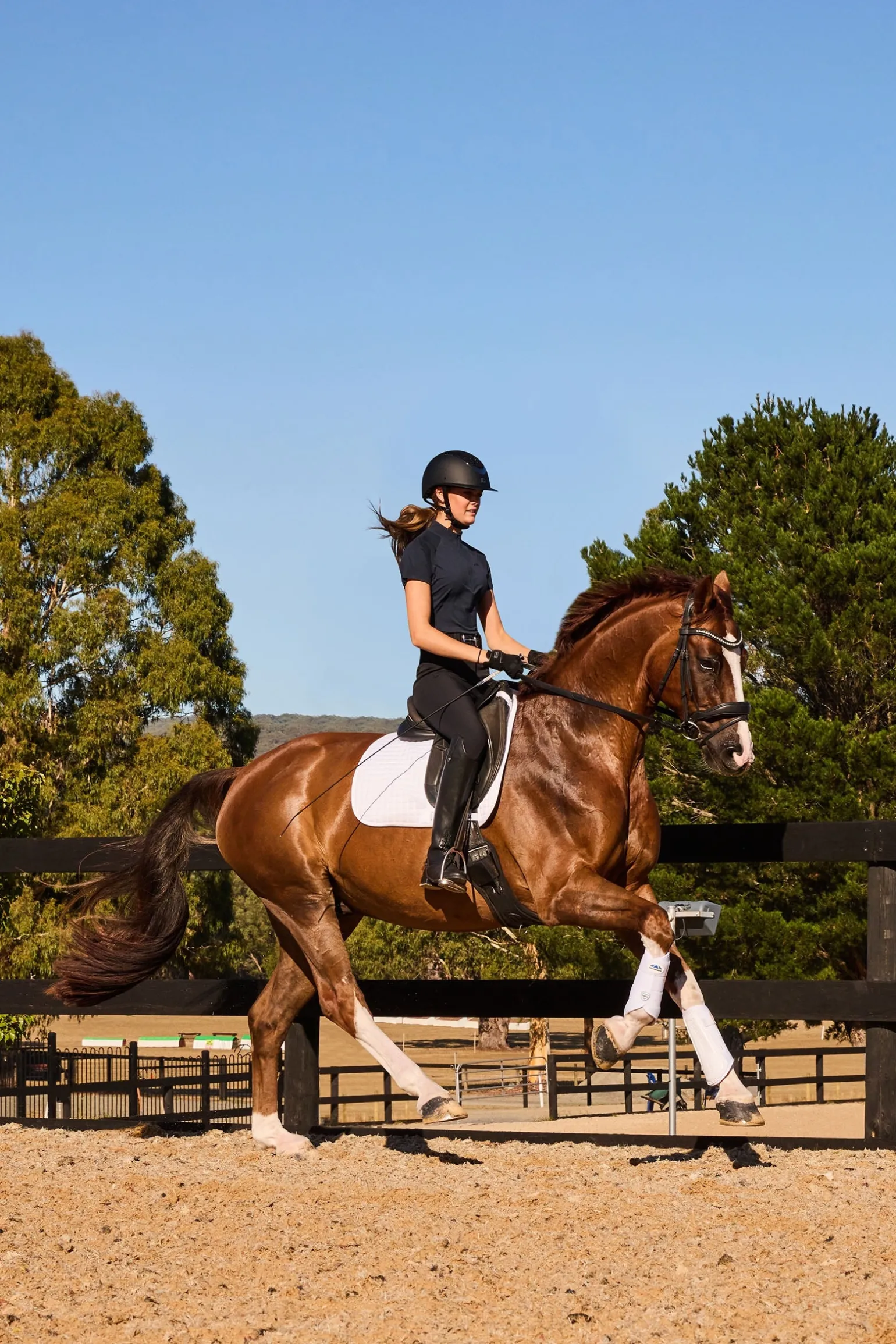 Tough-Tec Prime Dressurgamaschen