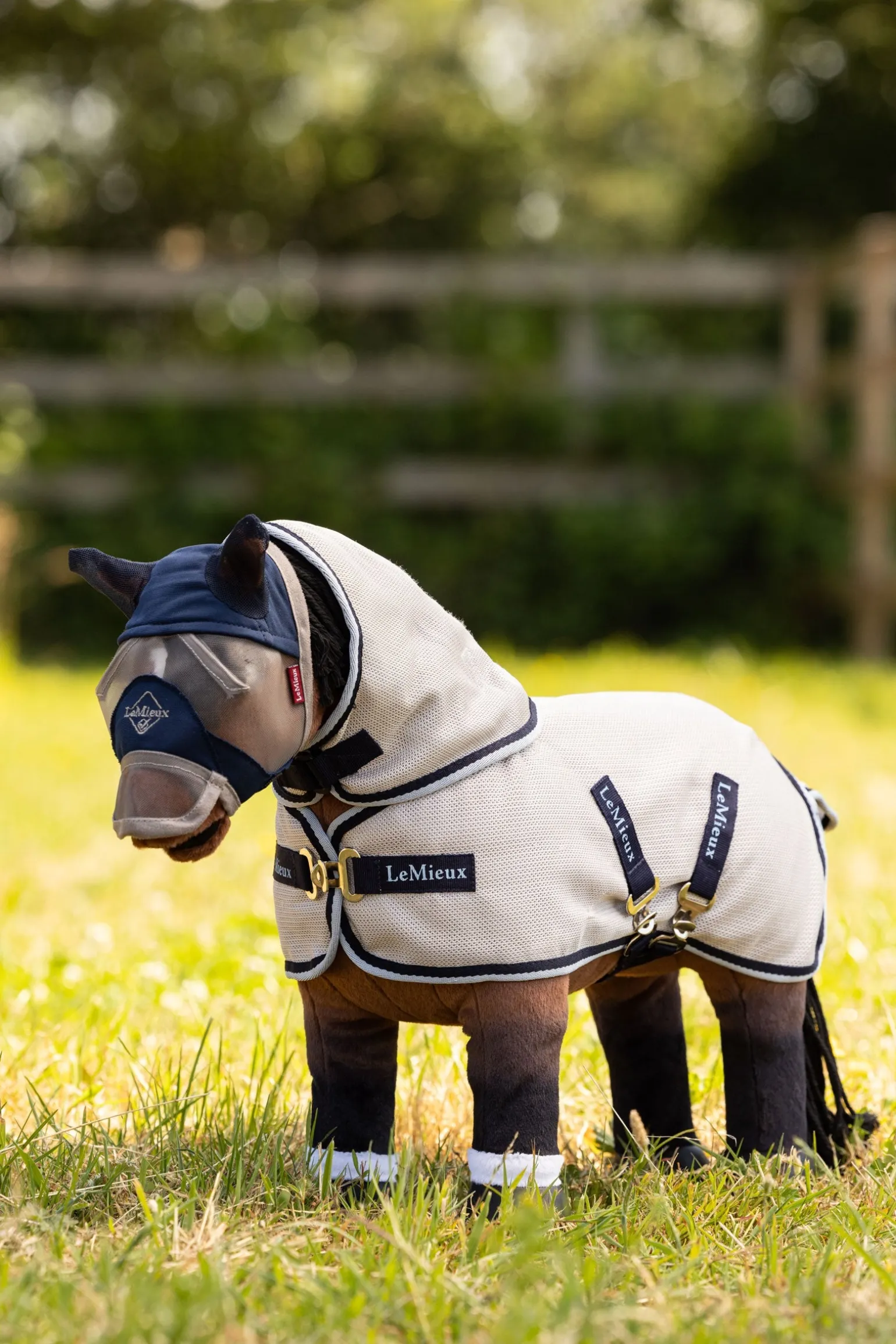 Toy Pony Fliegendecke