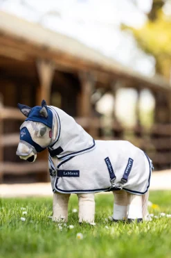 Toy Pony Fliegendecke