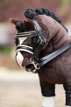 Toy Pony Kandarenzaum