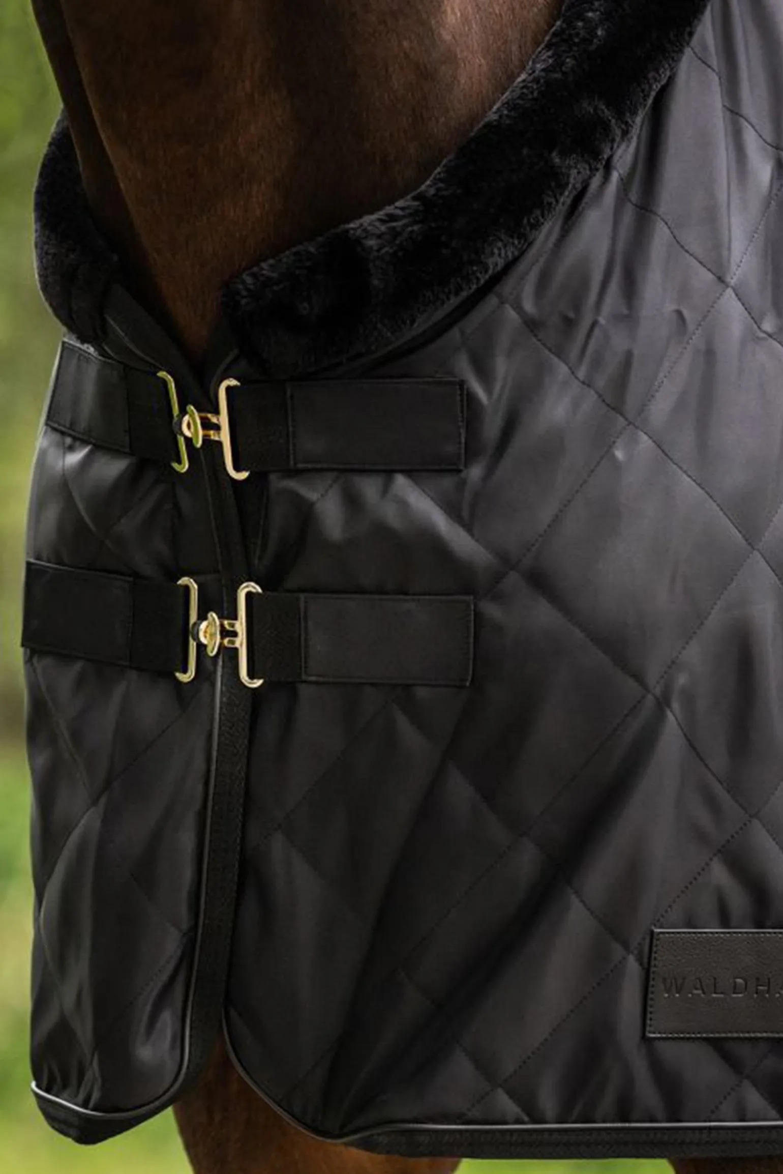 Transportdecke Exclusive, 50g