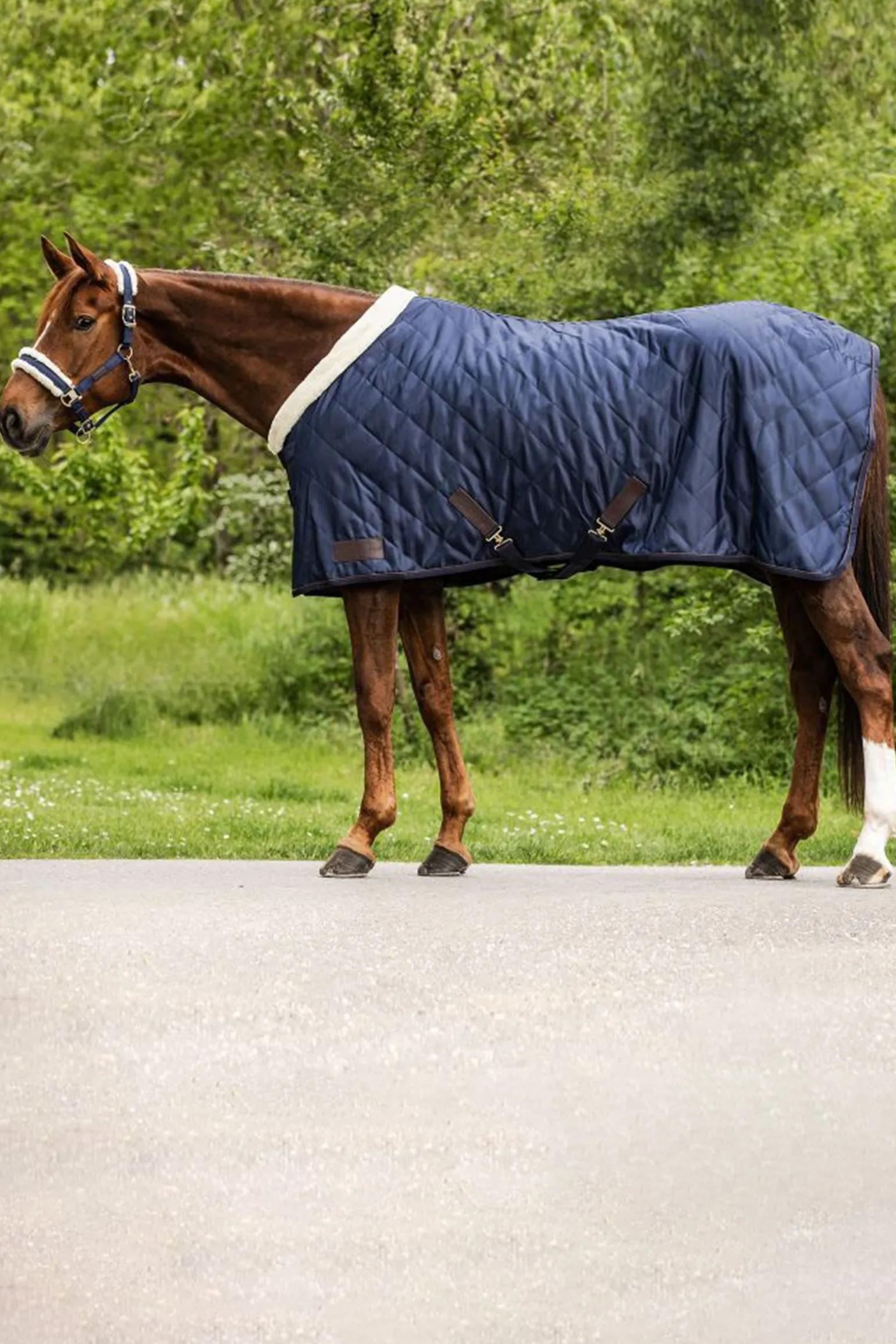 Transportdecke Exclusive, 50g