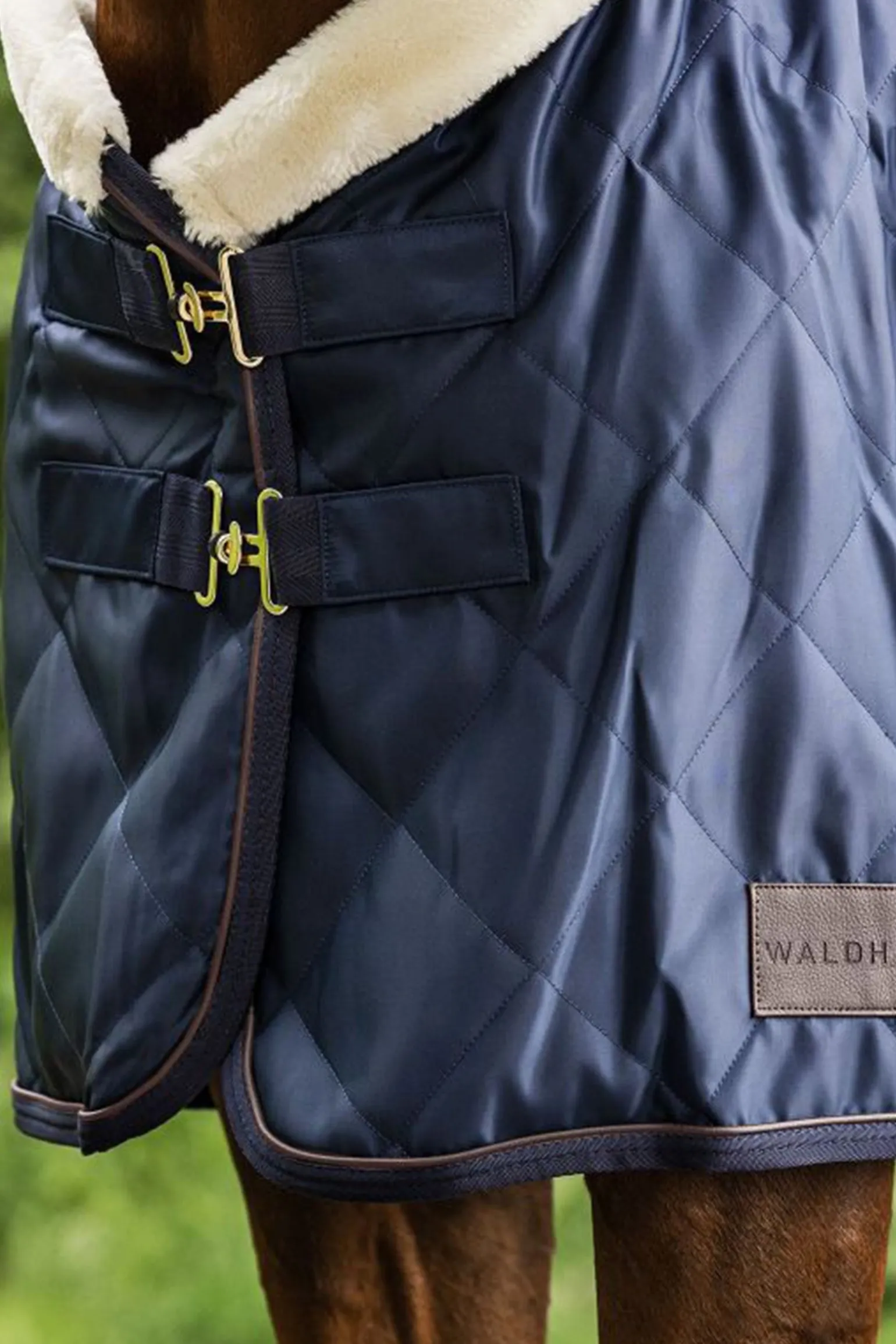 Transportdecke Exclusive, 50g