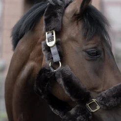 Tremblant Halfter mit Lammfell