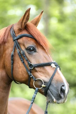 Trense Everado mit mexikanischem Nasenriemen