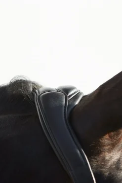 Ultrasoft® Deluxe Leder-Stallhalfter