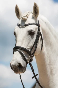 Ultrasoft® Fashion Trensenzaum