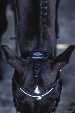 Ultrasoft® Luna Trensenzaum