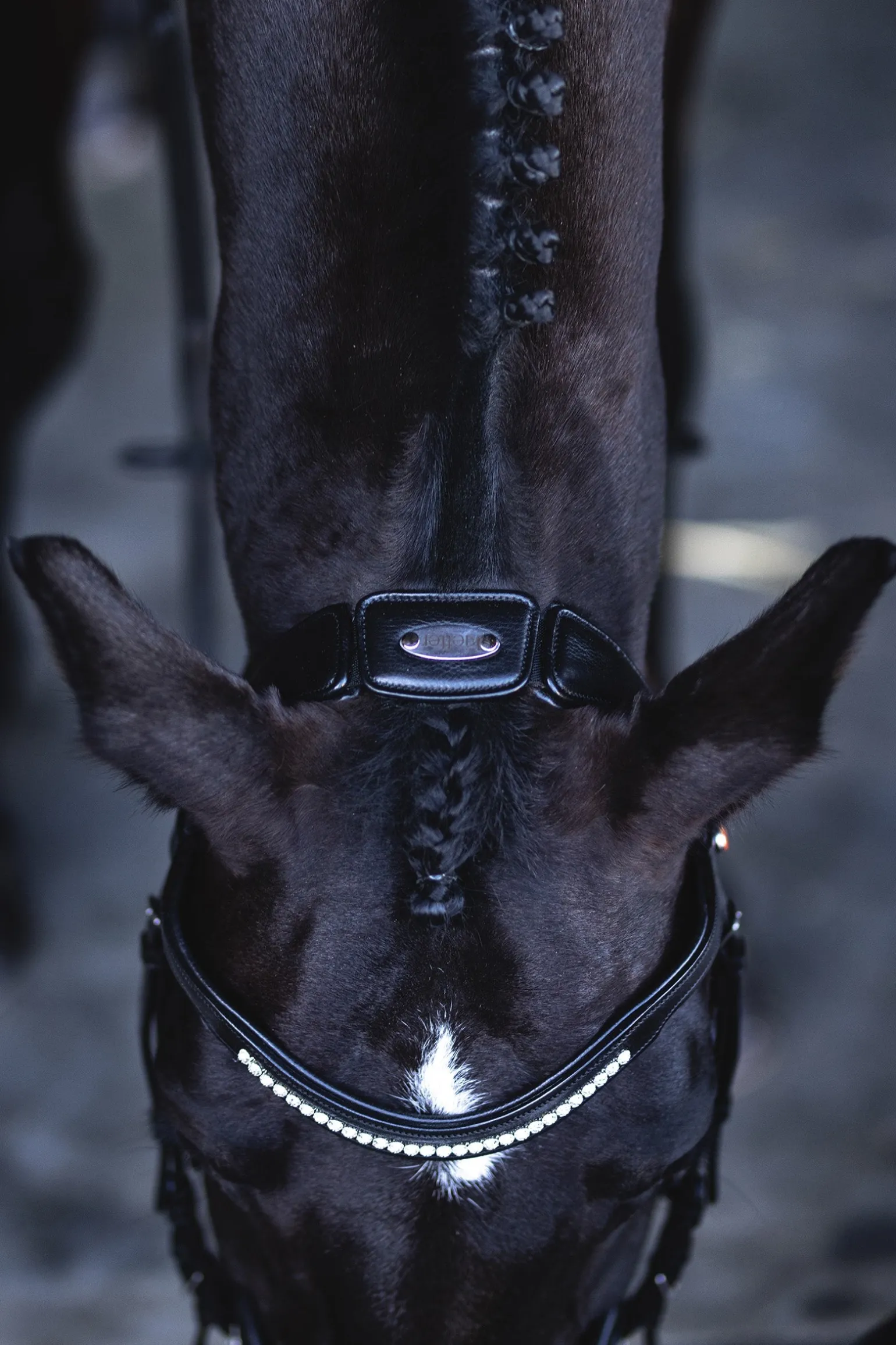 Ultrasoft® Luna Trensenzaum