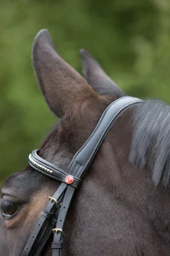 Ultrasoft® Trensenzaum