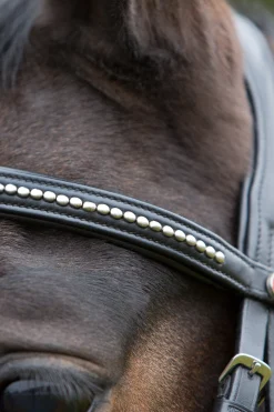 Ultrasoft® Trensenzaum