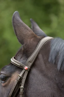 Ultrasoft® Trensenzaum