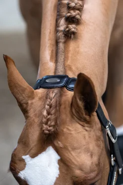 Ultrasoft®Luna Halfter