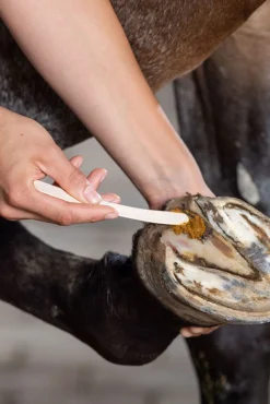 Undercover Pflegepaste, 235g